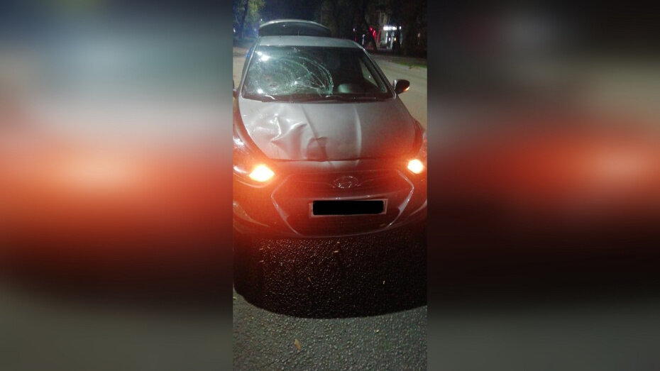   Автор фото: пресс-служба ГУ МВД по Воронежской области