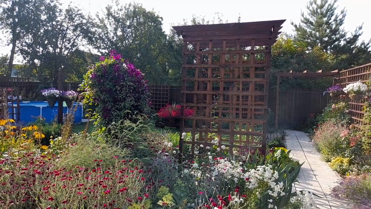 Наша дача 2022 год