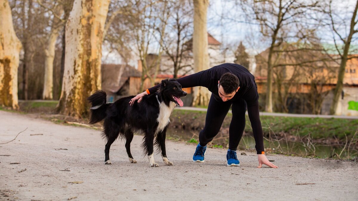 Гиперактивность у собак