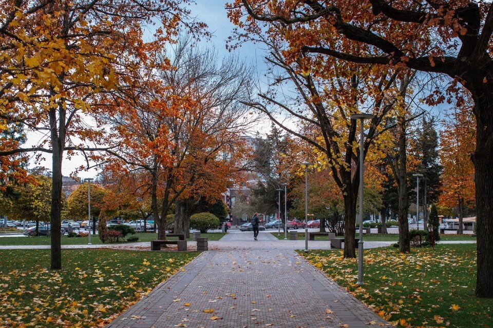     После выходных в Ростове заметно похолодает. Фото: Константин Ходарев