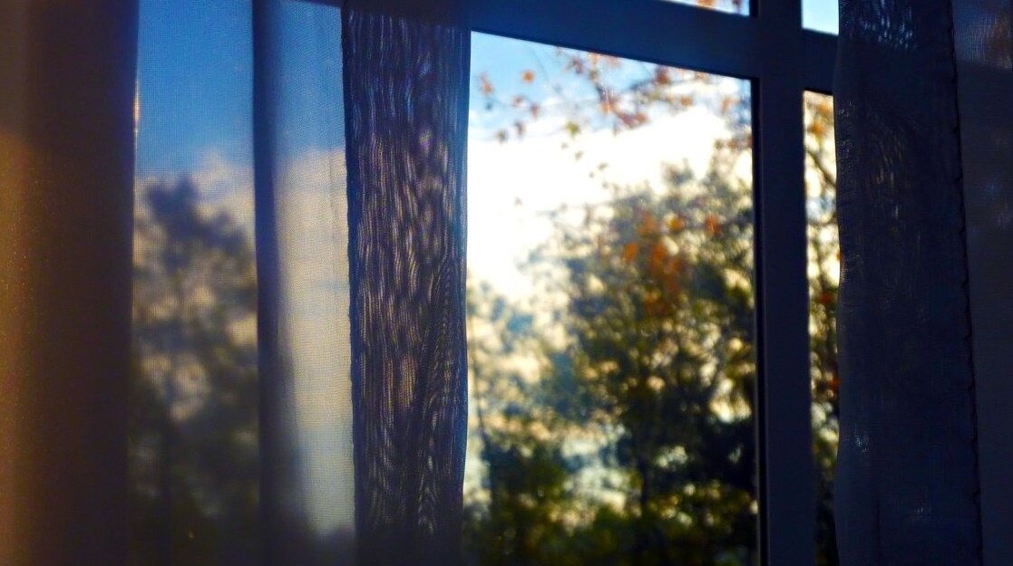 фото из свободного доступа.