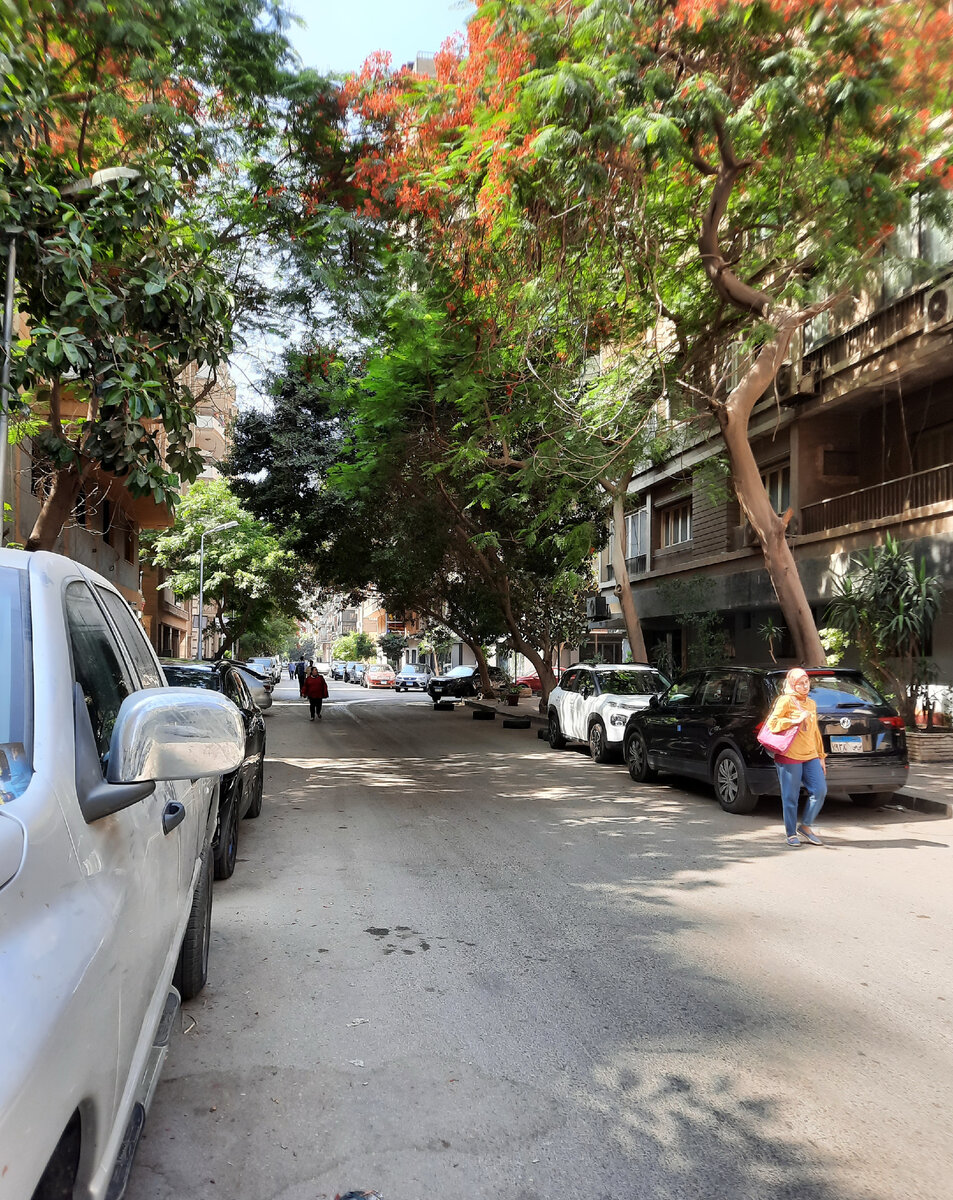 Соседняя с нами улица. Как принято говорить, у нас - "тихий центр".  Фото автора