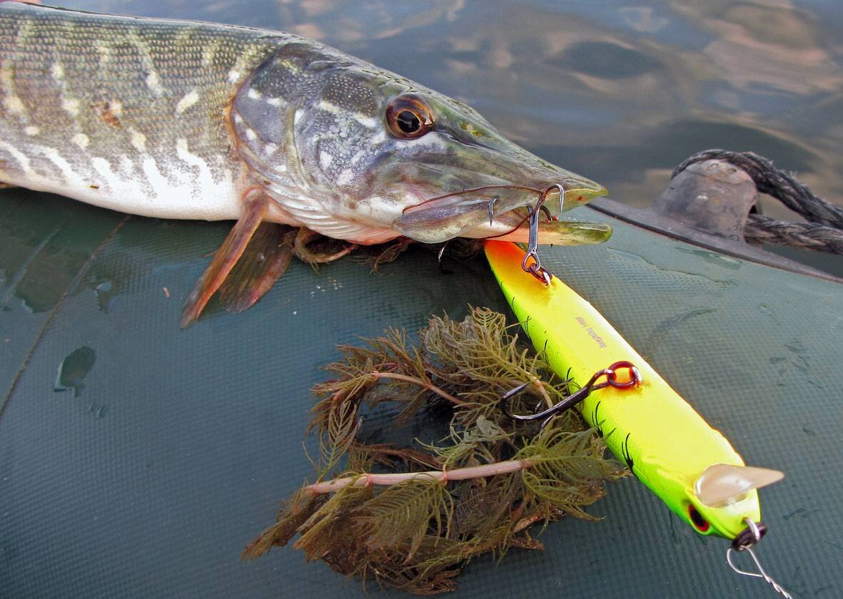 Когда прочитал мою статью до конца