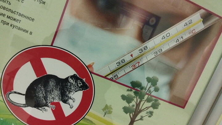 © ZAMIR USMANOV/GLOBALLOOKPRESS