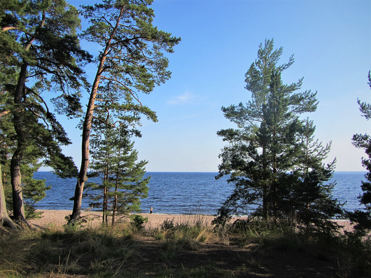 Остров Коневец
