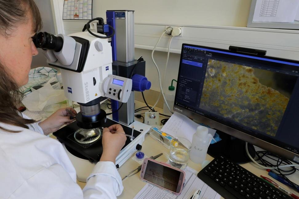 © REUTERS/Eric Gaillard 