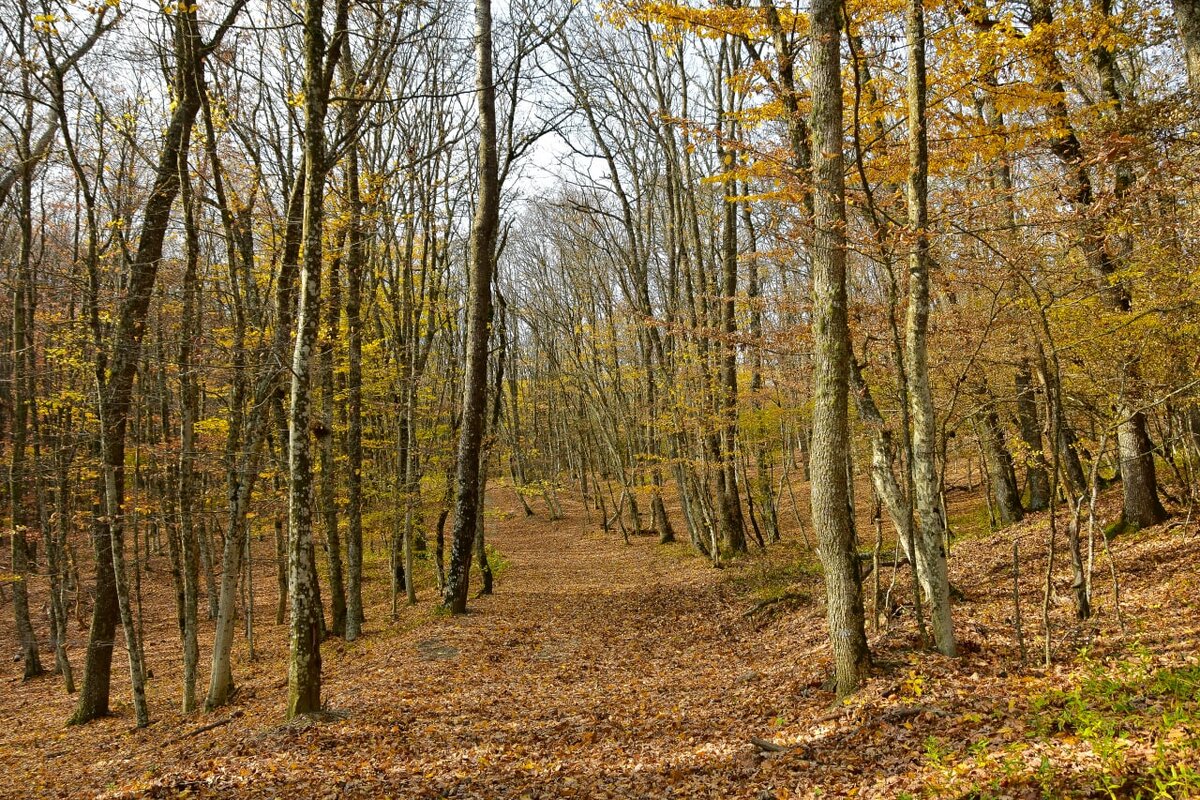 Фото: Гала Амарандо