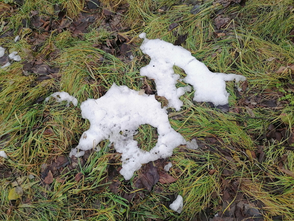 Все, что осталось от снега