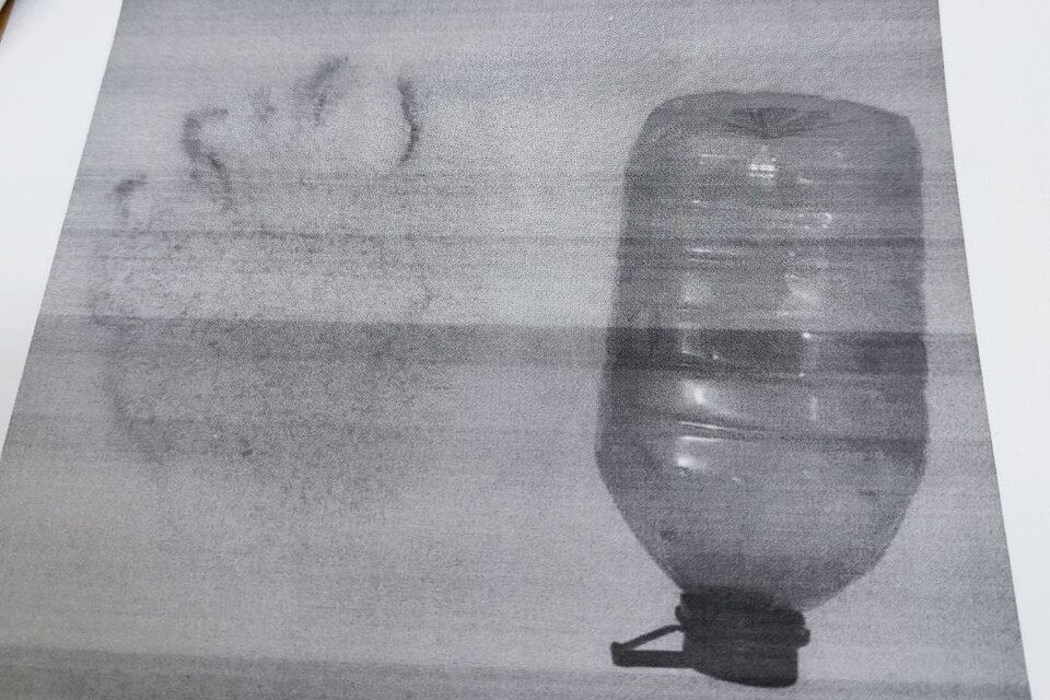     Размер лапы медведя - с пятилитровую бутылку воды. Фото: Евгений Шестернин