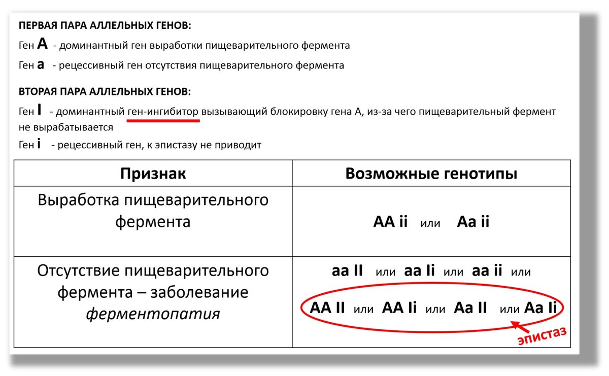 И всё-таки, почему доминантный ген не сработал? Обусловленность и эпистаз |  Генетика для всех | Дзен