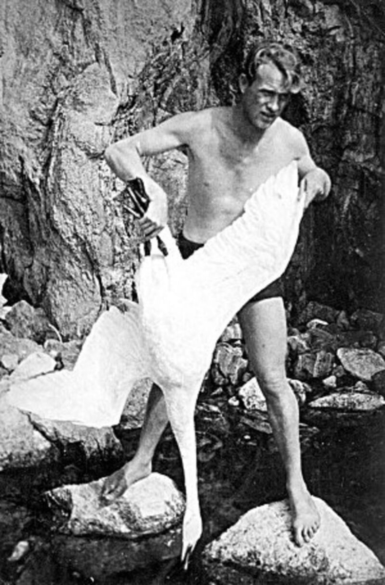 Остров Ольхон. Отстрел лебедя для проведения вскрытия аспирантом П. Бургасовым, 1938 год