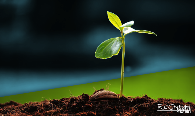    Росток Иван Шилов © ИА REGNUM