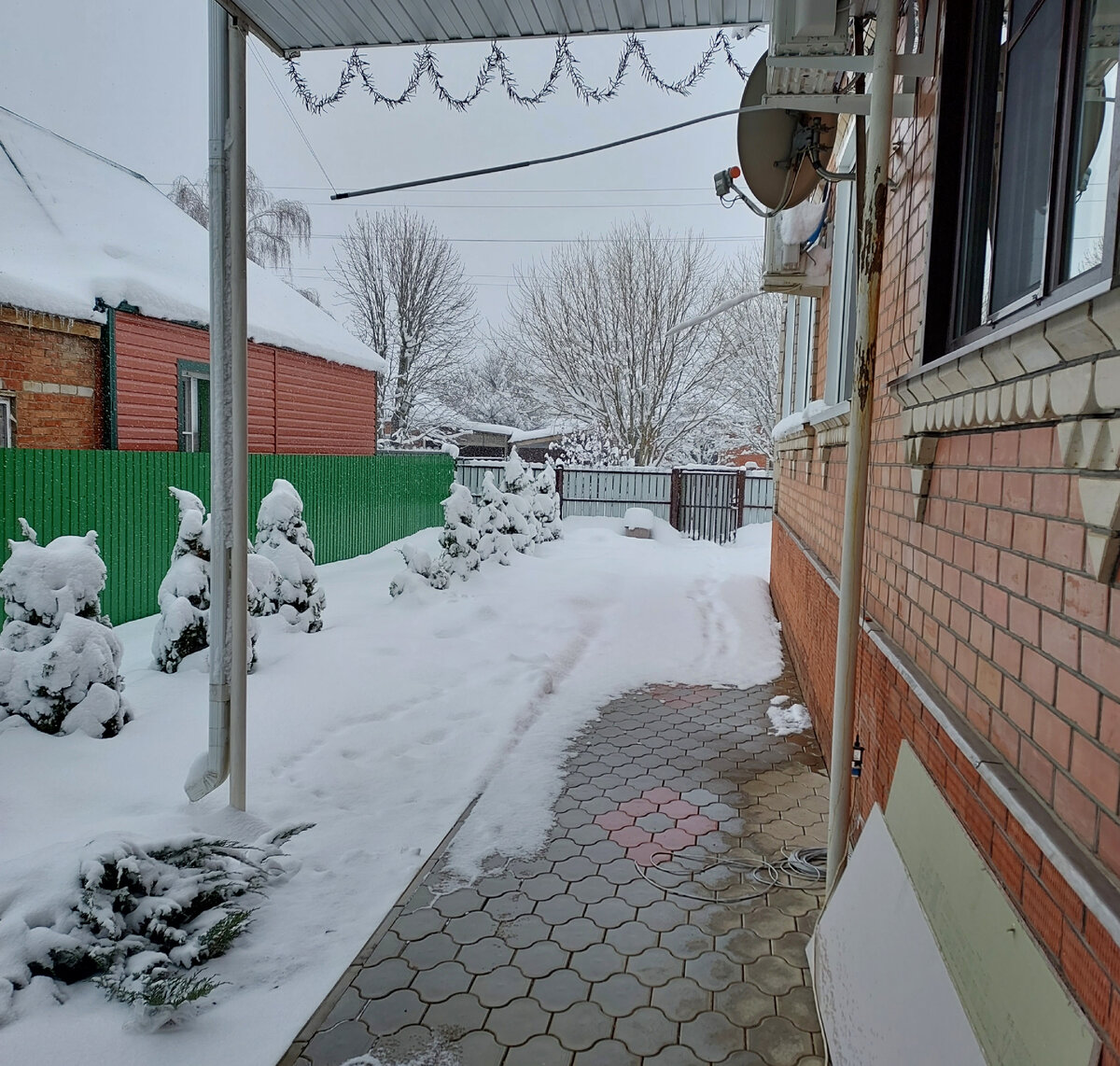 Январь 2022 года