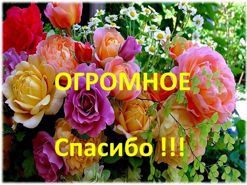Моя благодарность картинки