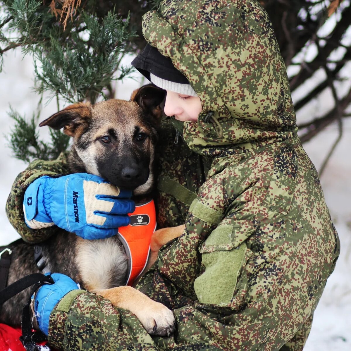 Малышка Софи находится в Кожуховском приюте в Москве. Все ее сестрички уже нашли дом, а она все еще жжет Ранее не писала о ней....