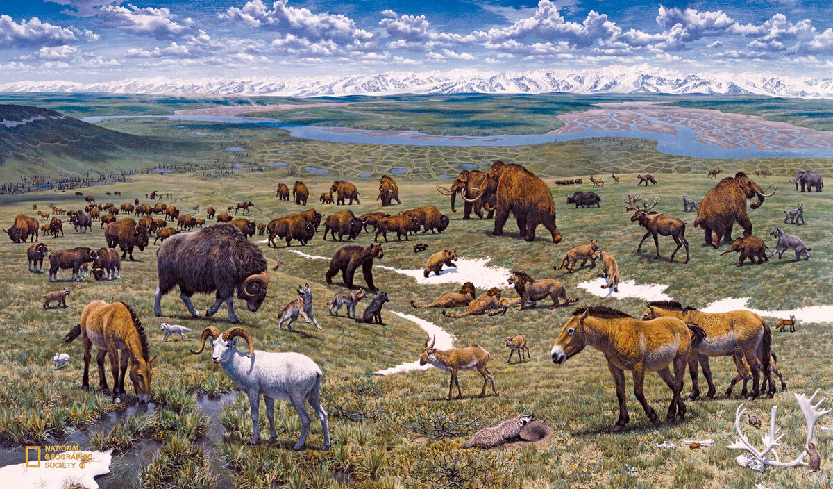 История фауна. Тундростепь ледникового периода. Плейстоценовая мегафауна Северной Америки. Плейстоценовый парк Якутия. Эра плейстоцена.