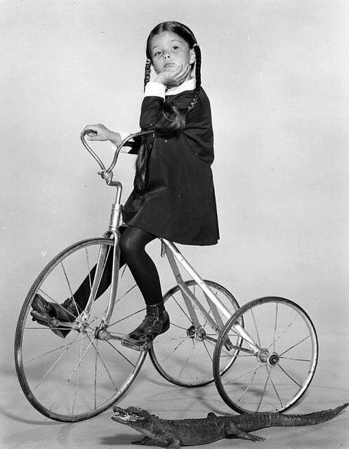 The Addams Family 1964