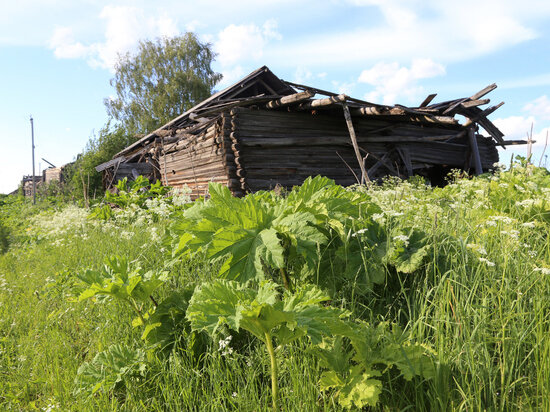   Ольга Шуклина