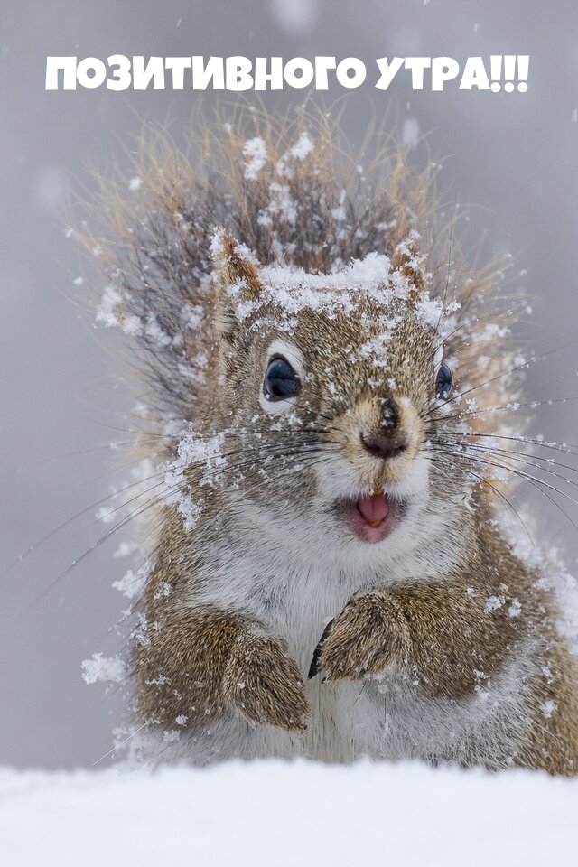 Из открытых источников