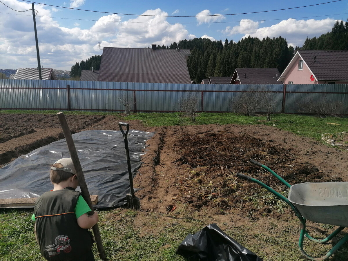 мои ленивые грядки для бахчи 