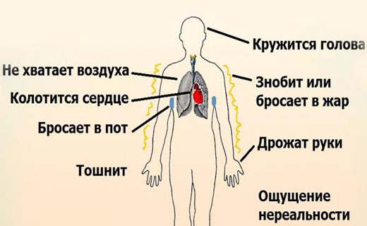 Причины и лечение тошноты и повышенной температуры