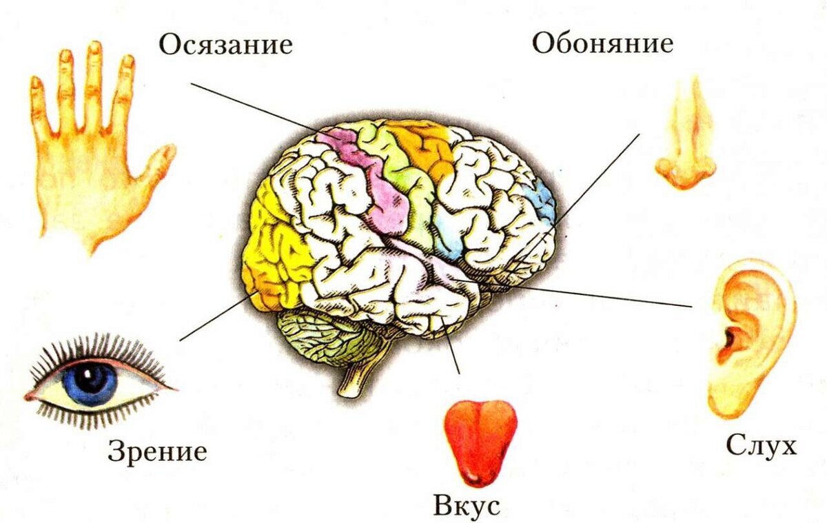 История чувств, рассказанная через искусство