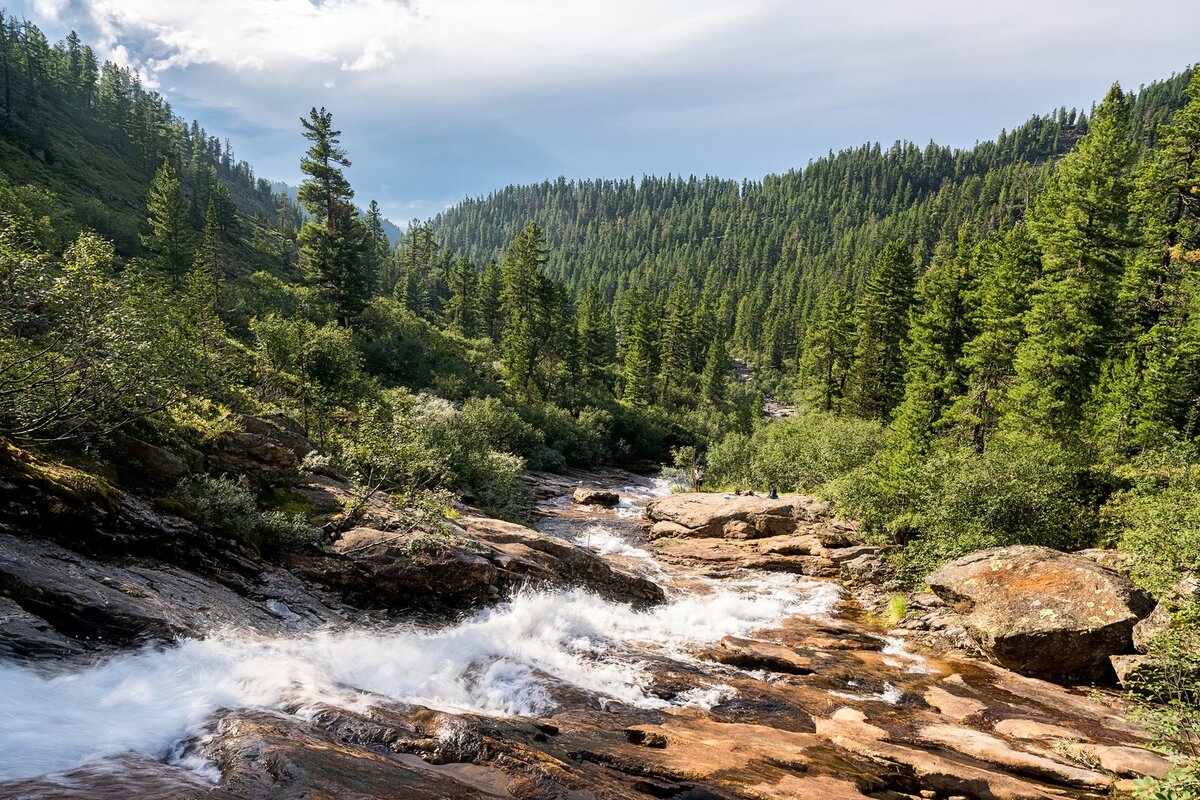 Лес занимает более 15 млн гектаров водосборной зоны озера Байкал. Источник фото: depositphotos.com
