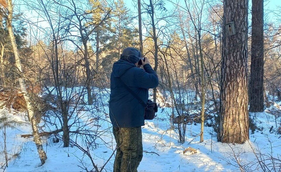     Фото: Национальный парк «Бузулукский бор»