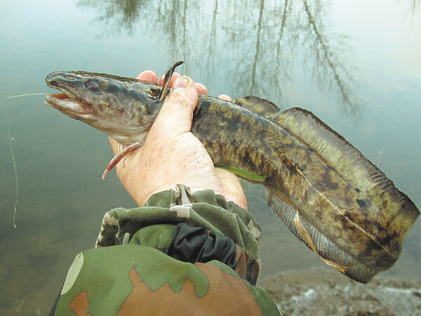     Фото: Токарева Александра.