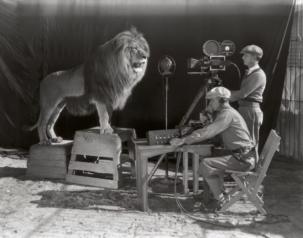 «Slats the Lion». История легендарной заставки MGM