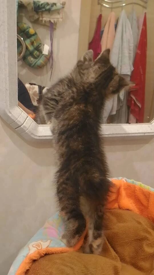 Недели через 2 после улицы