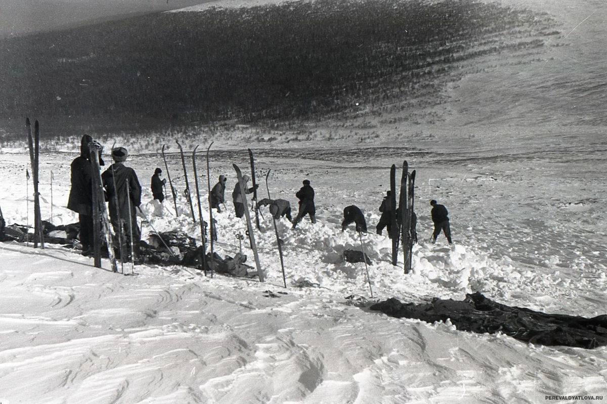1959г.