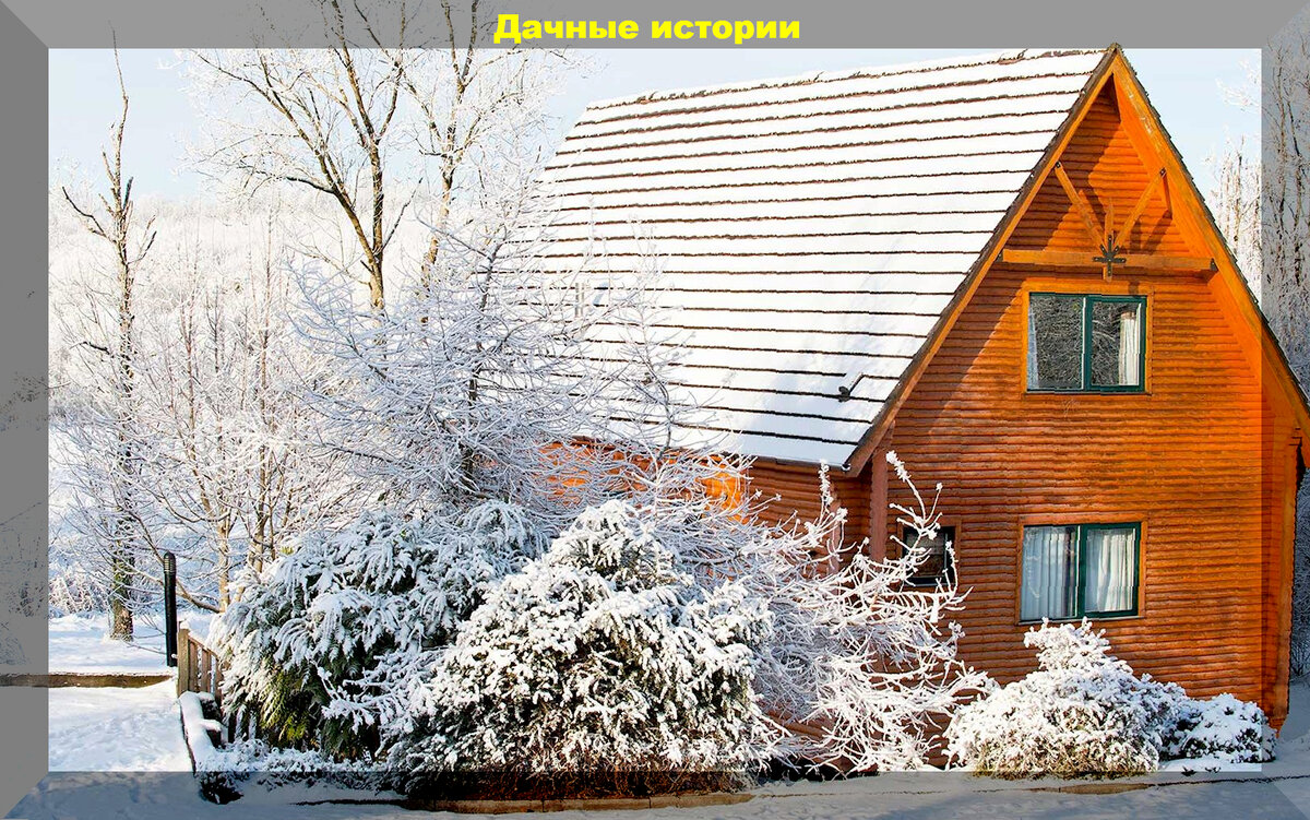 https://vk.com/photo-159774511_457257334
