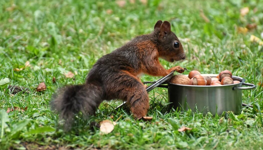 Вот это повезло так повезло!!! Фото из инета.