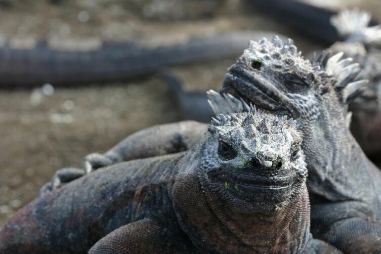   Фото: Depositphotos