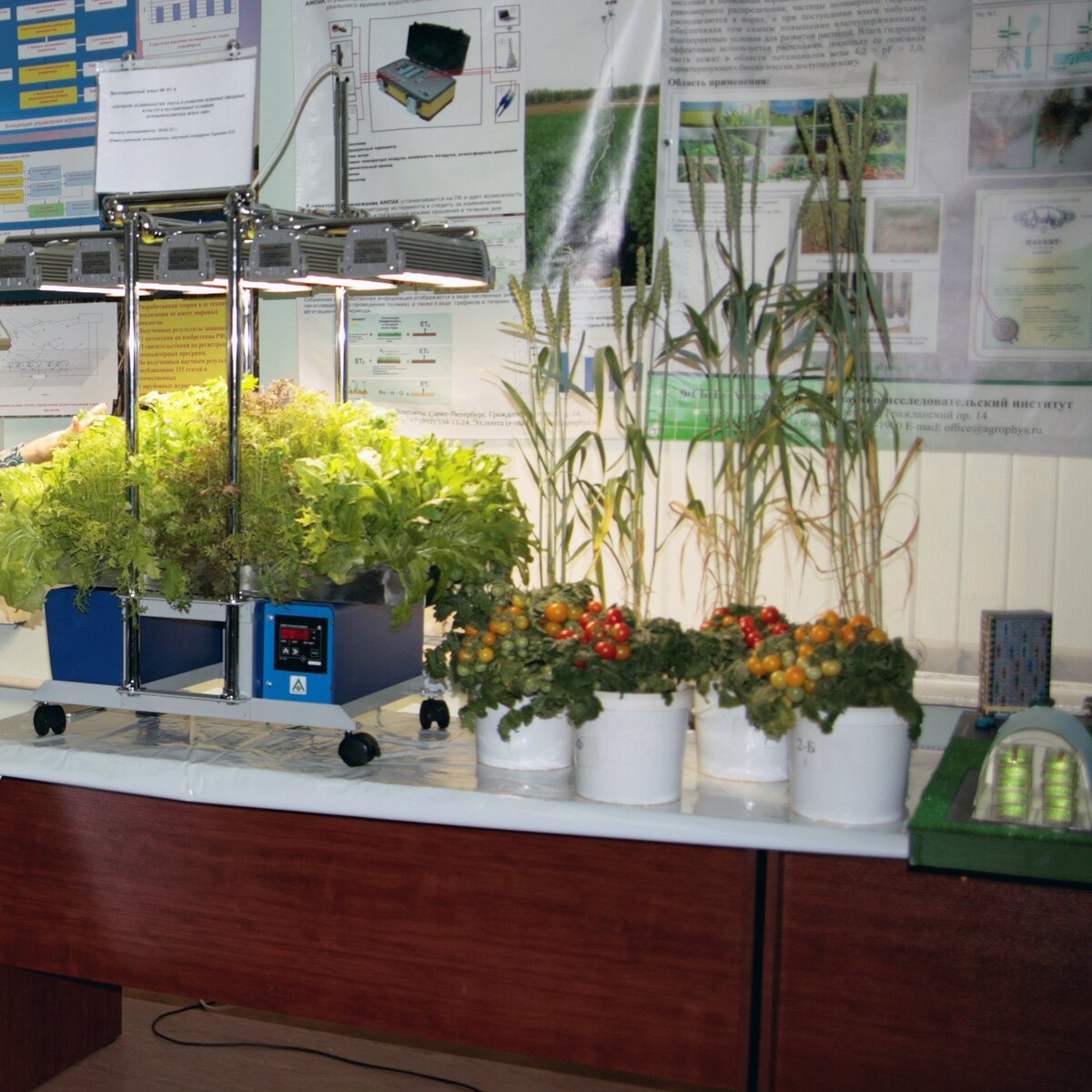 Фото: Агрофизический НИИ/agrophys.ru