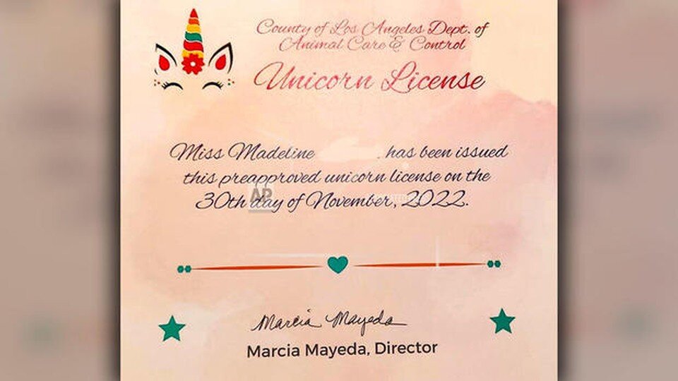     Девочка из Лос-Анджелеса получила разрешение от властей США на содержание единорога