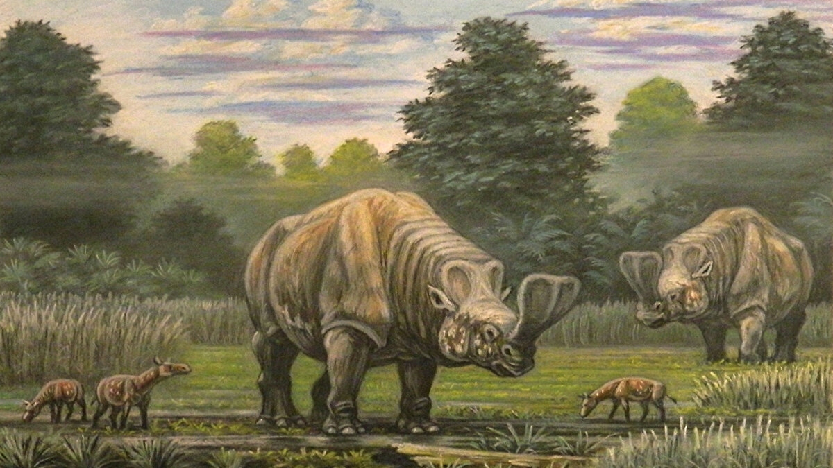 Когда собрались играть в пинг-понг и рассыпали мячики для него.