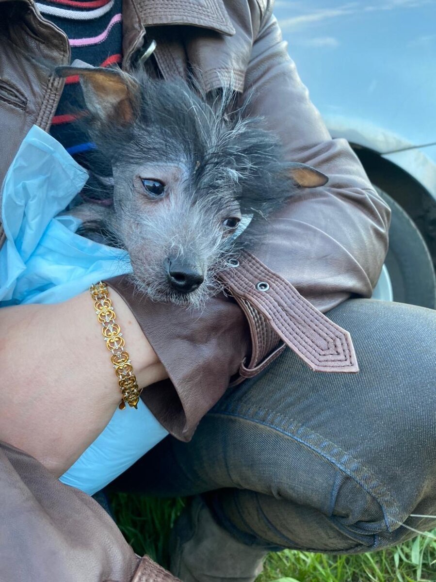 Веня в своем старом доме