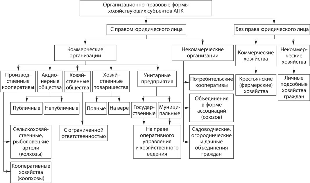 Организационно правовая форма реализации проекта