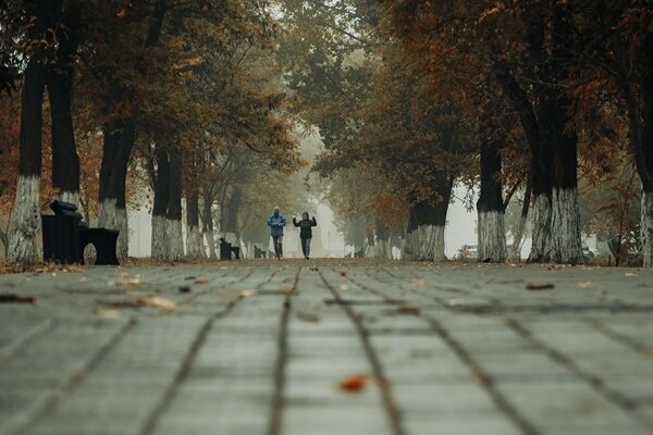 Дождливая погода. Фото Андрея Аксёнова