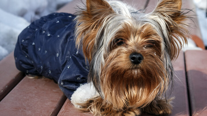 ФОТО: ALEXEY BYCHKOV/GLOBALLOOKPRESS