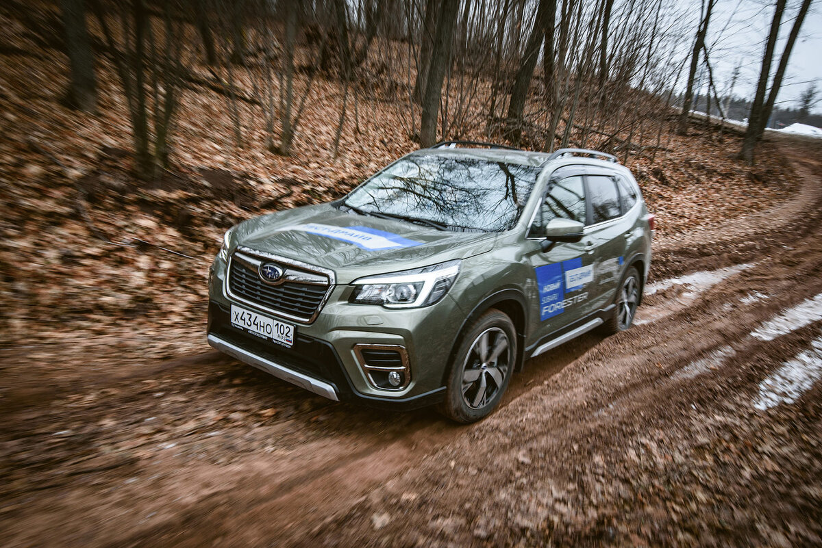 Subaru Forester — история модели, фото, цены