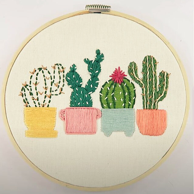    Кактус декоративными швамиИсточник: Кадр из видео