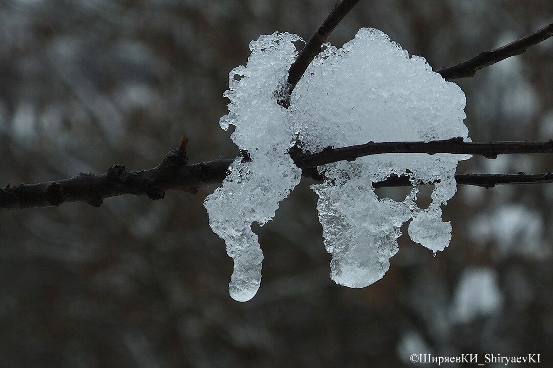 Идёт интенсивное таяние снега