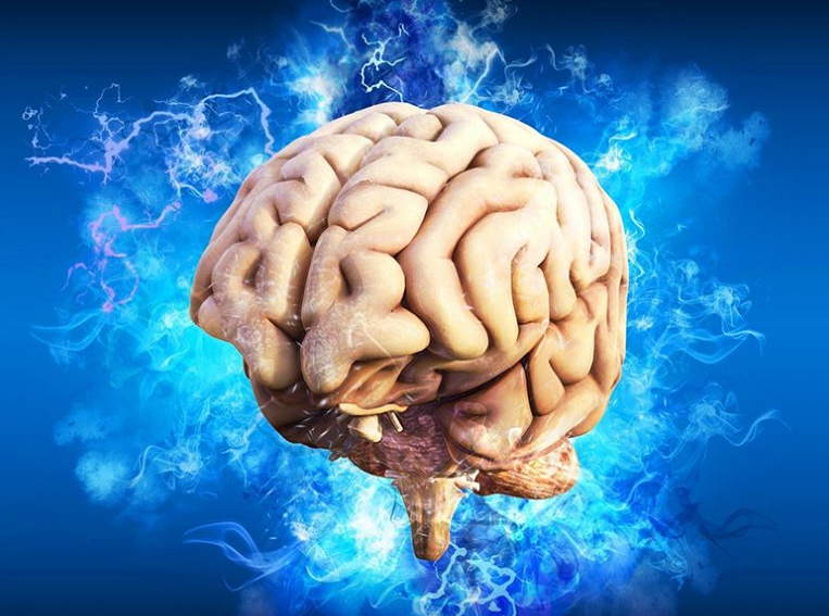 мозг человека компьютер. нейромаркетинг мозг. мужской и женский мозг. нейромаркетинг. мышление мужчины и женщины.