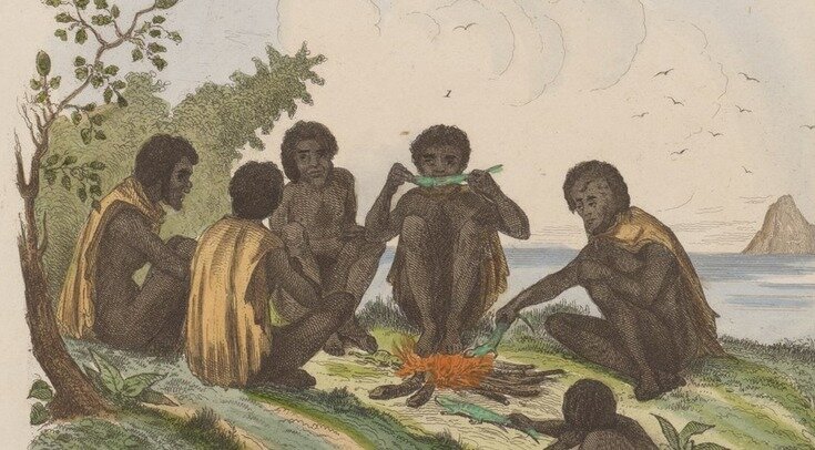   Iconographia Zoologica / Wikimedia Commons