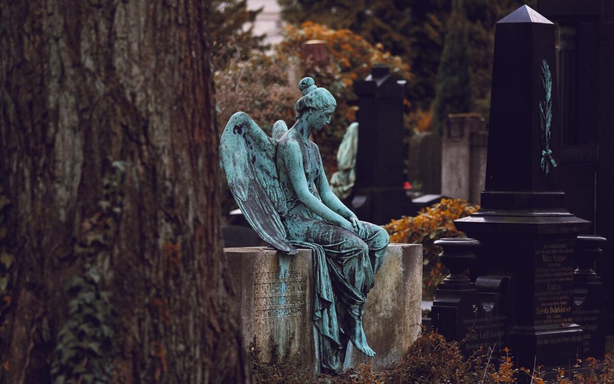    Unsplash