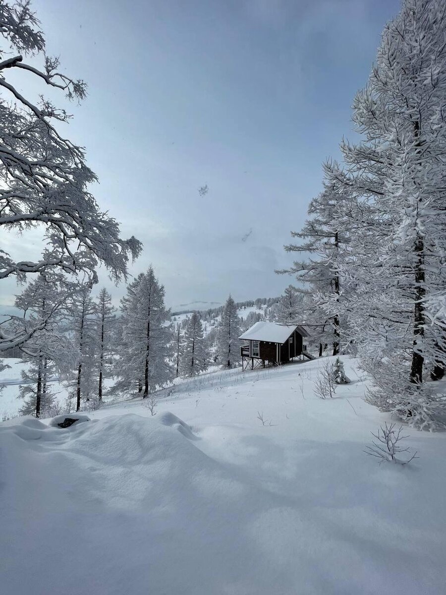 Эко-поселок Седьмое небо