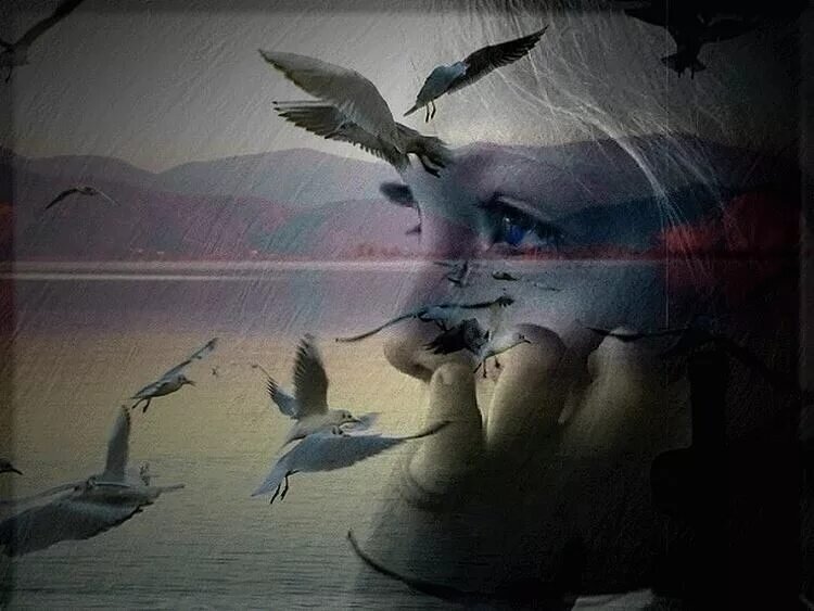 Фото взято из интернета 